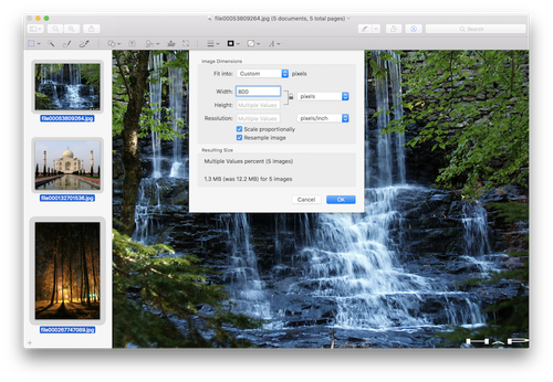 Preview app resize dialogue